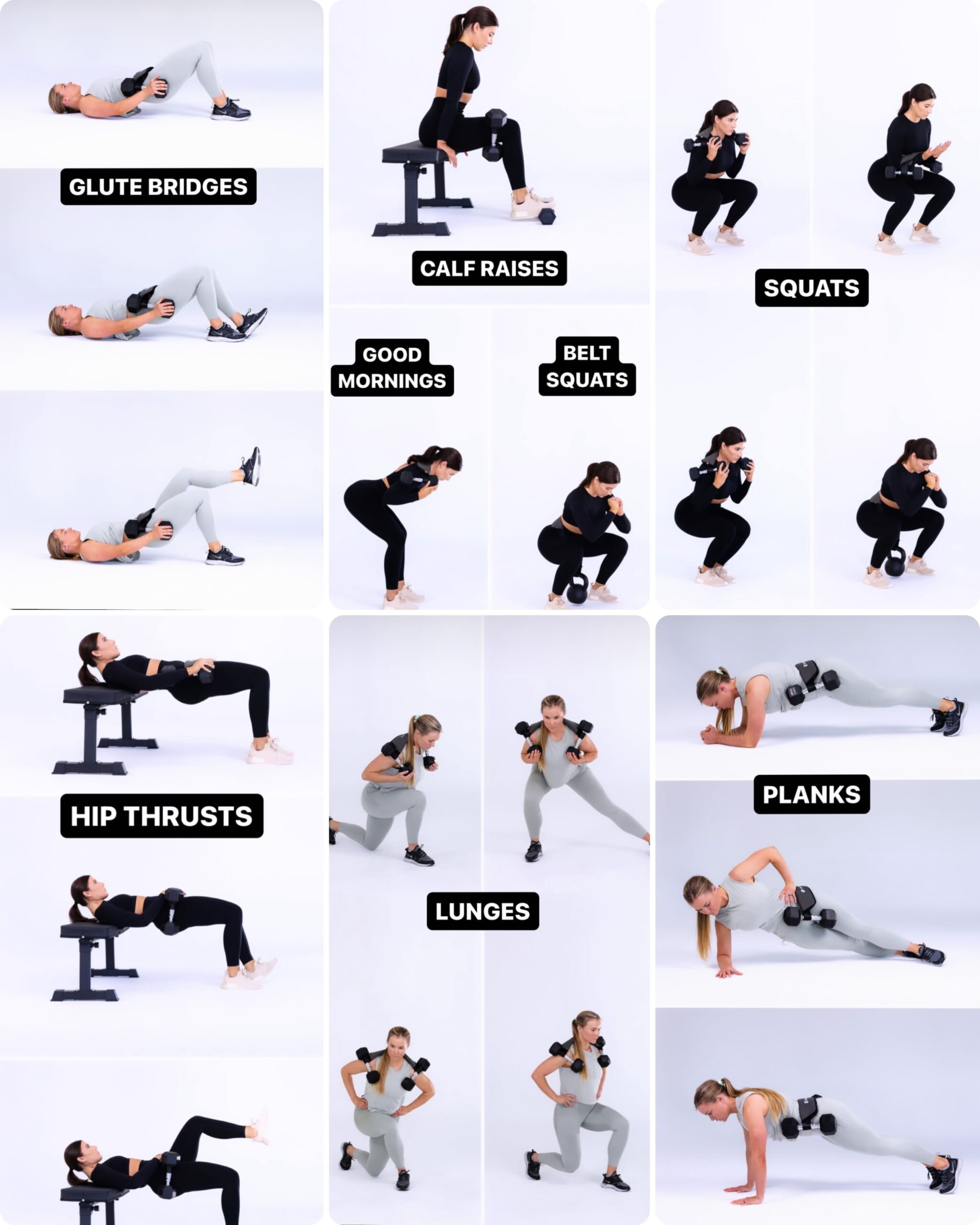 کاربرد های محصولا هیب بلت ARP در تمرینات